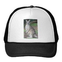 Kangaroo and Joey Mesh Hats