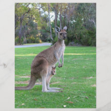 Kangaroo and Joey Personalized Flyer
