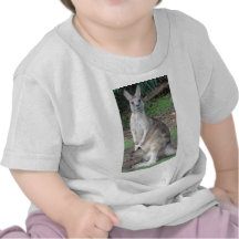 Kangaroo and Joey T-shirts