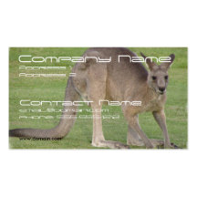 Kangaroo Business Card