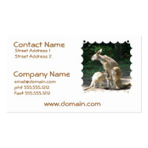 Kangaroo Joey Business Cards