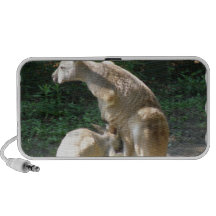 Kangaroo Joey  Speakers