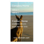 Kangaroo Photo Business Card