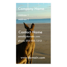 Kangaroo Photo Business Card