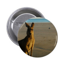 Kangaroo Photo Button