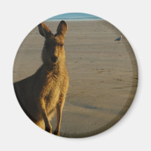 Kangaroo Photo Magnet