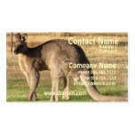 Kangaroo Picture Business Card