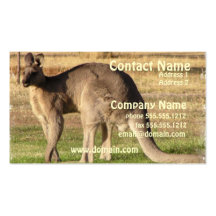 Kangaroo Picture Business Card