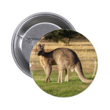Kangaroo Picture Round Button