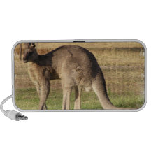 Kangaroo Picture Speakers
