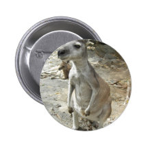 KANGAROO PIN