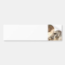 Kangaroo Profile  Bumper Sticker