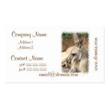 Kangaroo Profile Business Cards