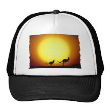 Kangaroos against the desert sun mesh hats