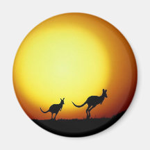 Kangaroos in the Australian Outback Magnets