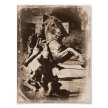 Kansas City Fountain Horse Sepia Grunge Photo