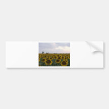 Kansas Sunflowers & Oil Rig Bumper Sticker