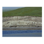 Kasatochi Island bluffs Postcards