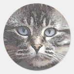 kat4 round stickers