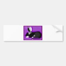 Kat-tastiK Tuxedo Kitty Bumper Sticker