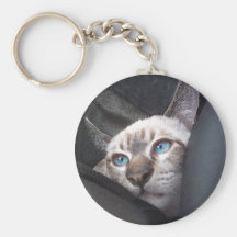 katzou keychains