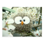 Kawaii Oliver the Owl Post Card