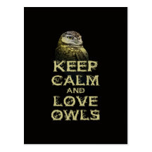 Keep Calm and Love Owls Original Owl Gift Stuff Postcards