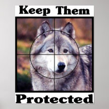 Keep them Protected - Wolf Posters