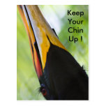 Keep your chin up, postcard