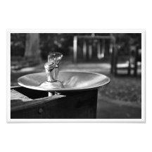 Keeping Watch Photographic Print
