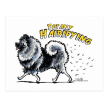 Keeshond Totally Hairifying Post Card