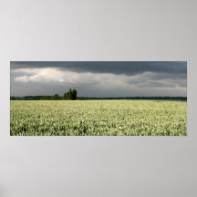 Kent Wheat Field Print
