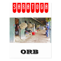 Kentucky Derby winner "Orb" as a 2 yr. old Postcard