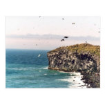 Kenyon Dome of basalt columns on Bogoslof Island Postcard