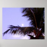 Key West, Florida Posters