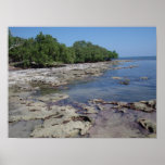 Key West shoreline - Florida Poster