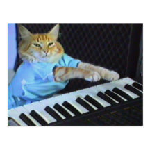 Keyboard Cat Postcard!