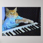 Keyboard Cat Wall Poster!
