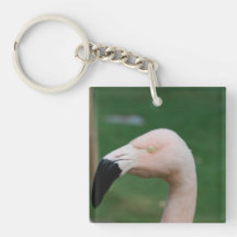 keychain acrylic keychains - Customised