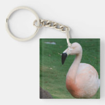 keychain acrylic keychains - Customised
