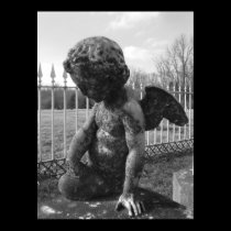 KeytesvilleCherub1-bw posters