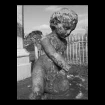 KeytesvilleCherub3-bw posters