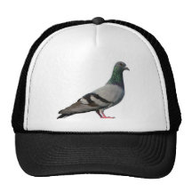 Kidz from Da Streetz Mesh Hats