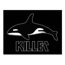 Killer Whale Orca of Death Postcards