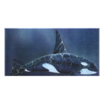 Killer Whale Photo Greeting Card