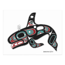 Killer Whale Postcard