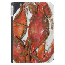 Kindle Folio Case