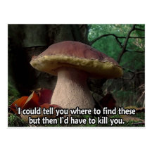 King Bolete - I'd Have to Kill You Postcards