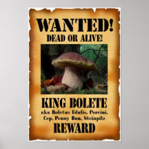 King Bolete - Wanted Dead or Alive Posters