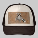 King Julian Copper Damask Lid hats